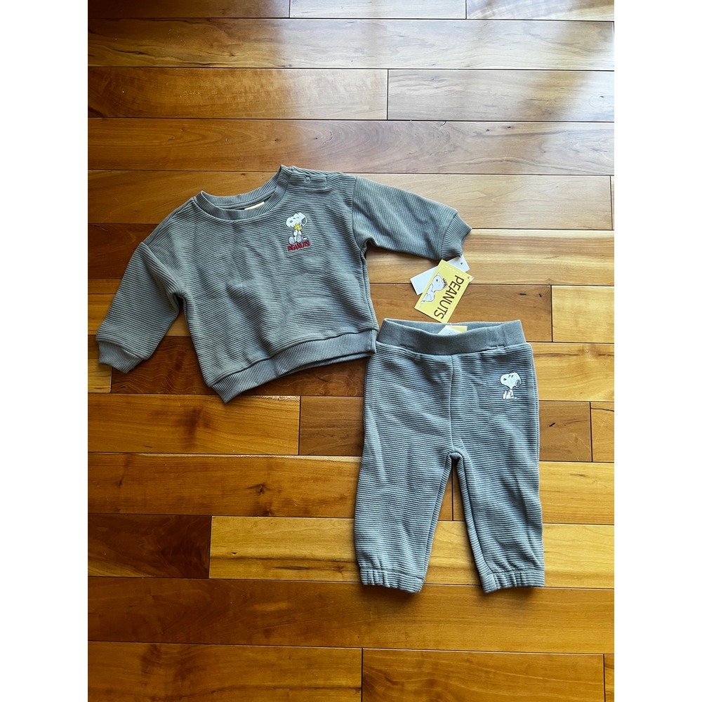 Peanuts Snoopy Woodstock Grey Ribbed Sweatshirt and Joggers Set 3-6M RLCL207